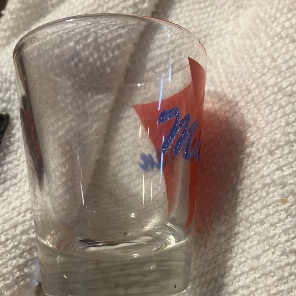 Michigan shot glass